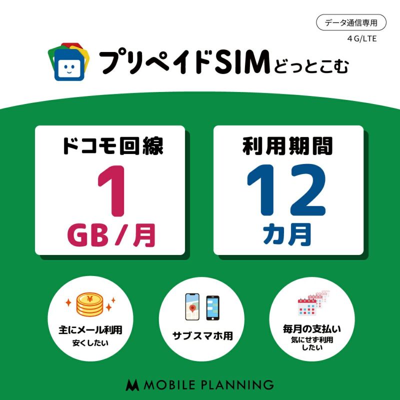 プリペイドSIM 月間1GB 12ヶ月プラン